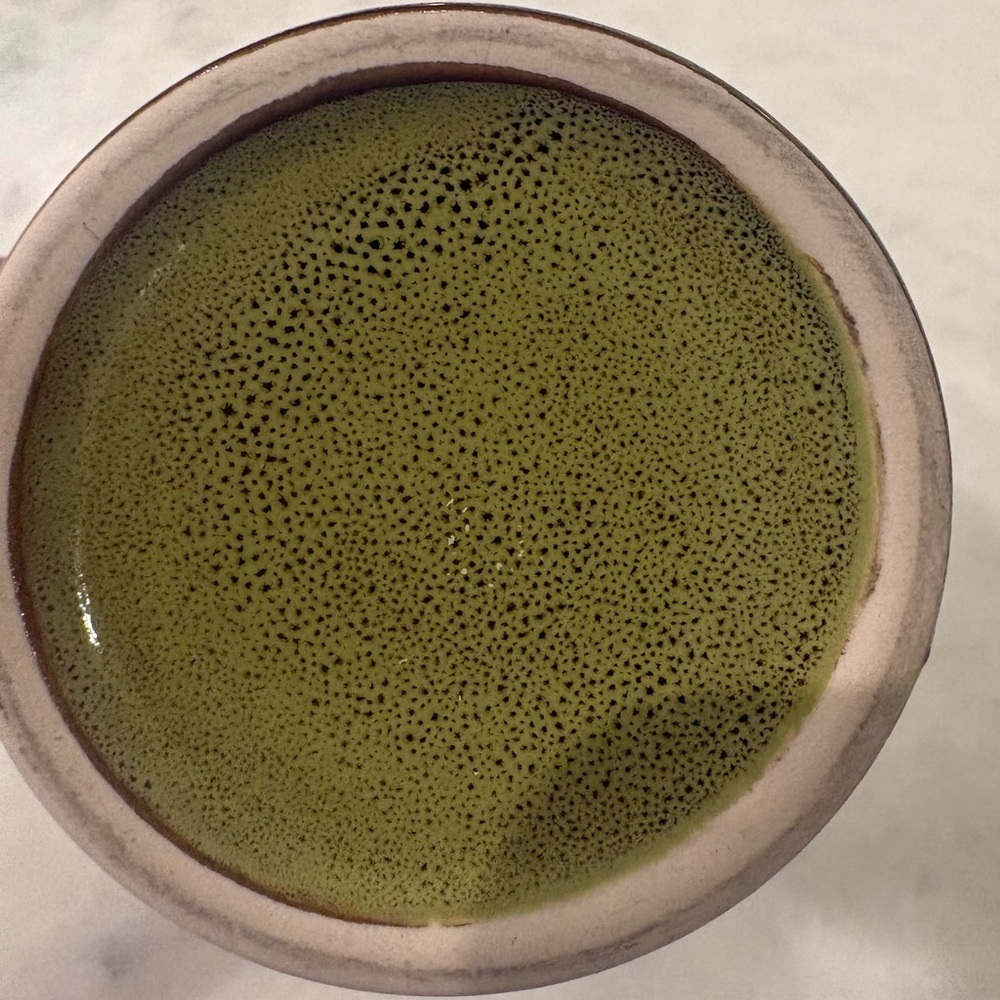 Arctic Circle Alaska Leggy Bear Green Mug - Picture 8 of 9